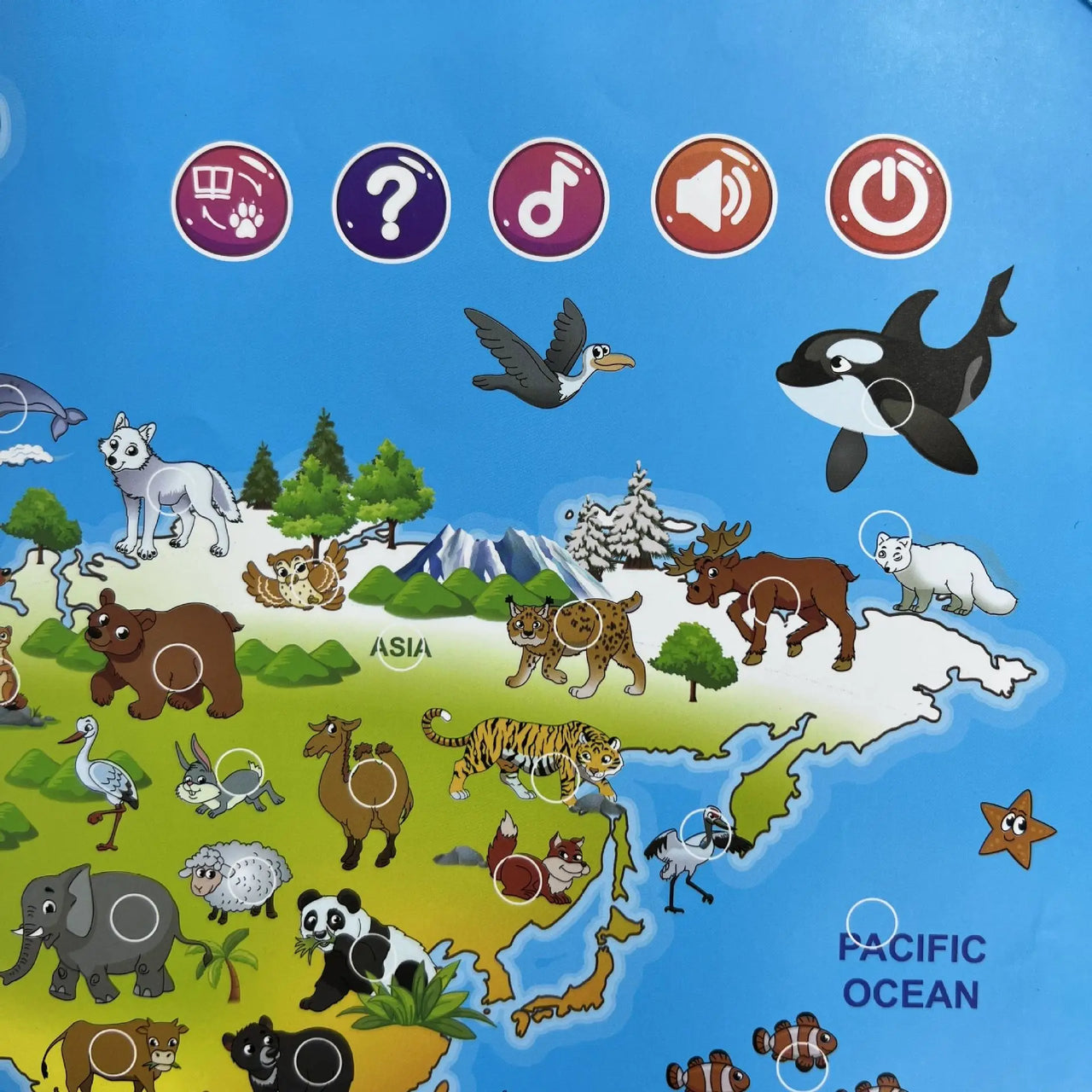 LittleExplorers – Aprender y jugar – Mapa mundial de animales