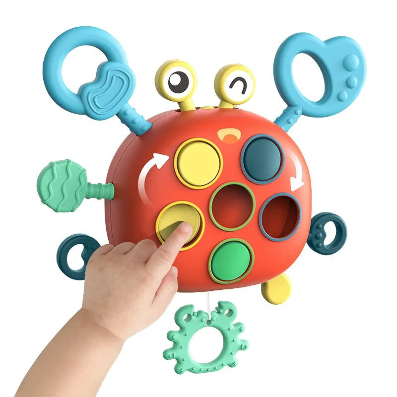 Sensory Crab™ - Explorar los sentidos - Cangrejo Sensorial