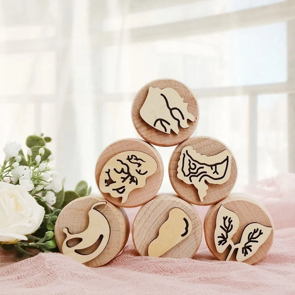 WoodStamp – Montessori y creatividad – 6 sellos de madera para plastilina