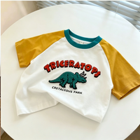 Thumbnail for StreetBoy – A la última y cómoda: camiseta infantil con mangas raglán y estampado