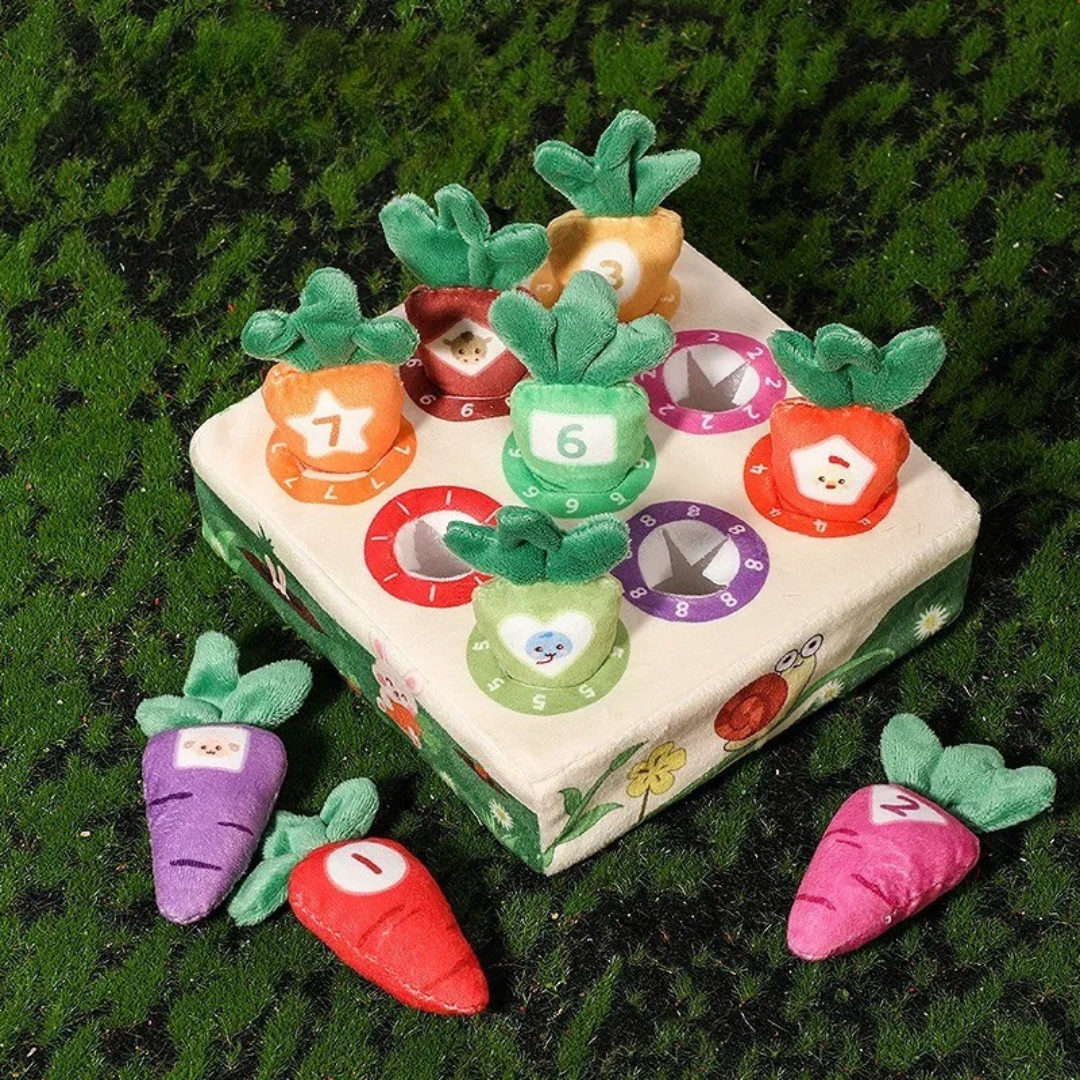 Sensory Carrots – Toca y elige – Zanahorias sensoriales