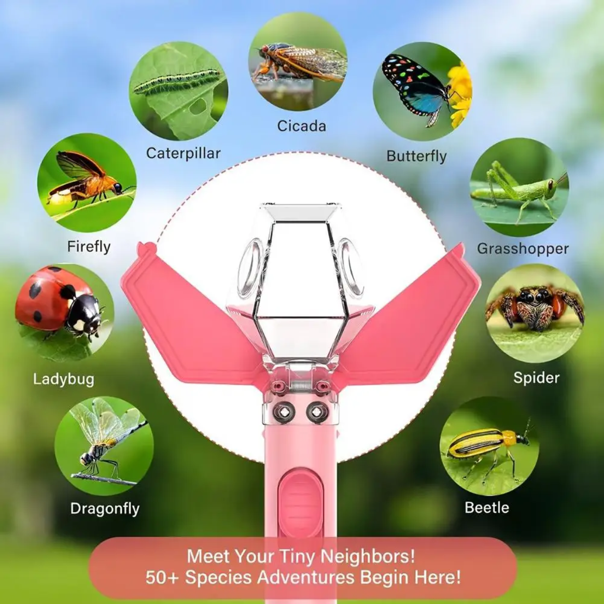 BugMaster – Educativo y divertido: atrapa-insectos multifuncional