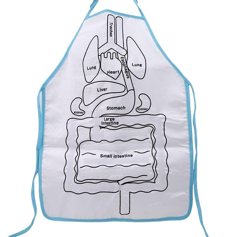 Anatomy Apron™ | Explora el cuerpo de forma interactiva - Delantal Anatómico Infantil