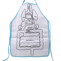 Thumbnail for Anatomy Apron™ | Explora el cuerpo de forma interactiva - Delantal Anatómico Infantil