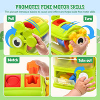 Thumbnail for DinoMatch – Educativo e interactivo – Juego de clasificación de dinosaurios