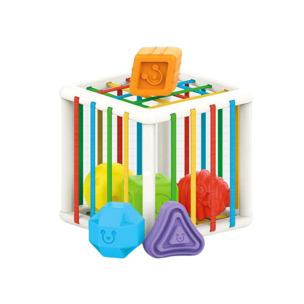 Woods™ l Ordenar y aprender - Cubo educativo