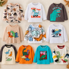 Kids Dinosaur Sweatshirt – Comodidad y estilo – Jersey infantil Dino