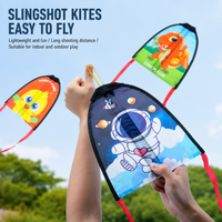 Thumbnail for Handheld Kite – Al aire libre y actividad física – Cometa para niños