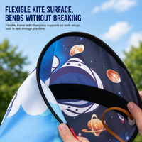 Thumbnail for Handheld Kite – Al aire libre y actividad física – Cometa para niños