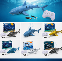 Thumbnail for SeaBuddy – Creatividad y movimiento – RC Haai