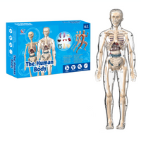 Thumbnail for Human Anatomy – Aprender y descubrir: kit de modelo del cuerpo humano