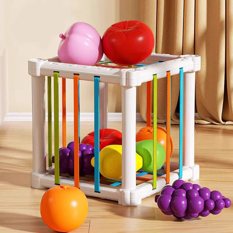 Fruit Box™ - Corta, Juega, Aprende - Fruta en caja