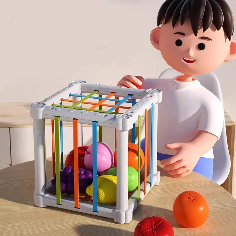 Fruit Box™ - Corta, Juega, Aprende - Fruta en caja