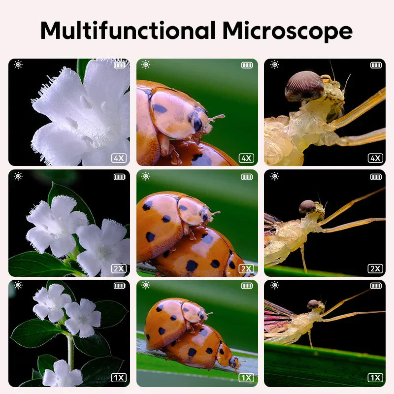 Mini Kids Microscope™ - La ciencia bajo la lupa - Mini Microscopio infantil