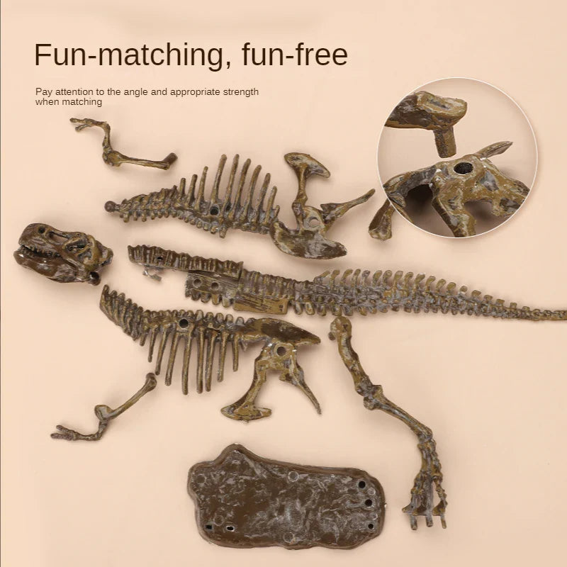 DinoDig – Emocionante y educativo: kit de excavación de fósiles