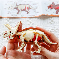 Thumbnail for DinoDig – Emocionante y educativo: kit de excavación de fósiles