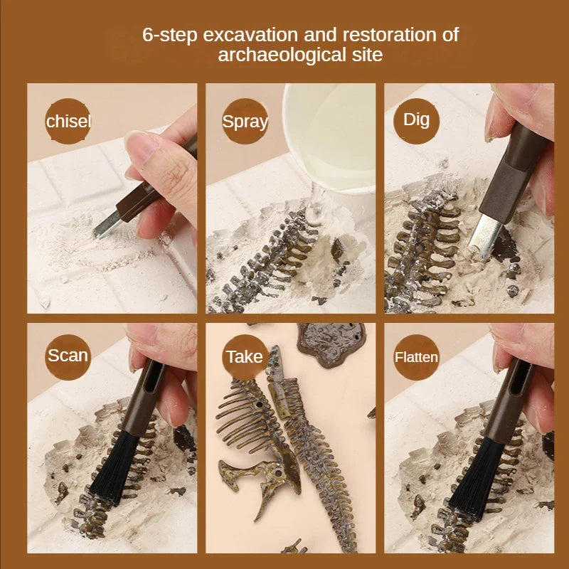 DinoDig – Emocionante y educativo: kit de excavación de fósiles