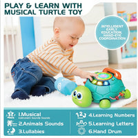 Thumbnail for SmartTurtle – Interactivo y musical - Juguete tortuga con canciones