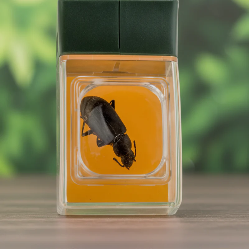 Bug Catcher with Magnifier – Descubrir y aprender – Atrapainsectos