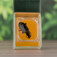 Thumbnail for Bug Catcher with Magnifier – Descubrir y aprender – Atrapainsectos