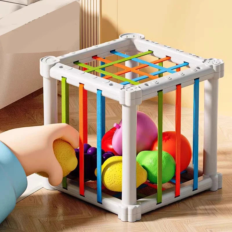 Fruit Box™ - Corta, Juega, Aprende - Fruta en caja