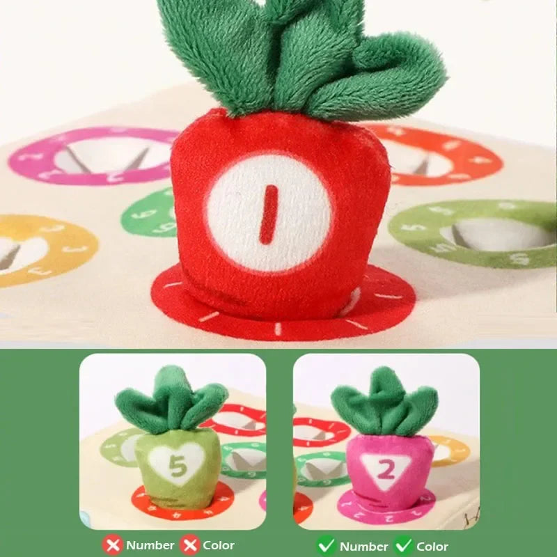 Sensory Carrots – Toca y elige – Zanahorias sensoriales