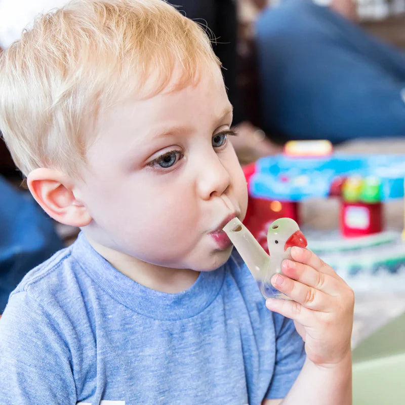 ChirpPlay: interactivo y divertido, silbato imitador de pájaros