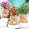 Figure Plants™ - Aprende a cuidar las plantas - Figuras de plantas decorativas