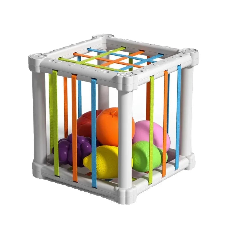 Fruit Box™ - Corta, Juega, Aprende - Fruta en caja