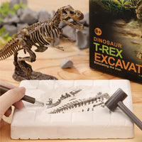 Thumbnail for DinoDig – Emocionante y educativo: kit de excavación de fósiles